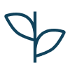 Explore Programmes by Category